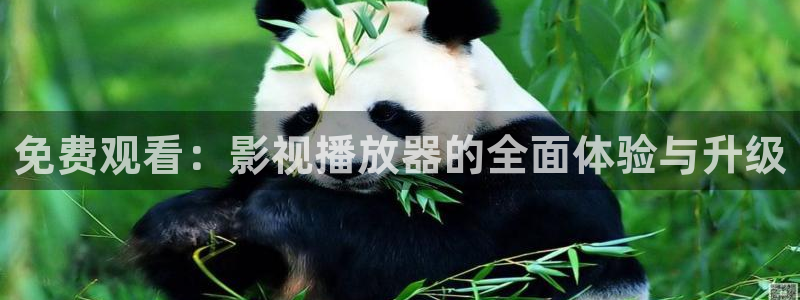 米奇影院7777免费观看高清完整喜剧电影