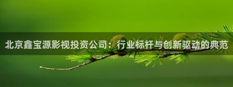 777777影院免费：北京鑫宝源影视投资公司：行业标杆与创新驱动的典范