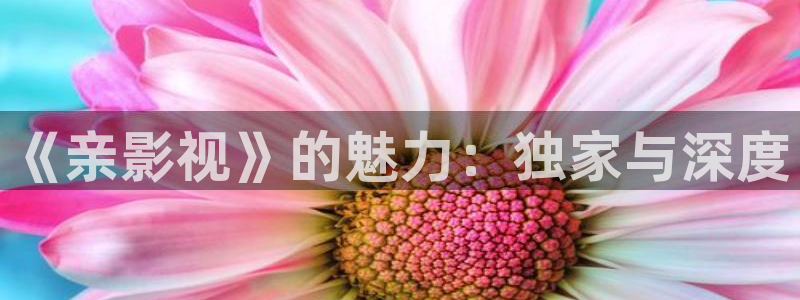 777米奇影视第四色：《亲影视》的魅力：独家与深度